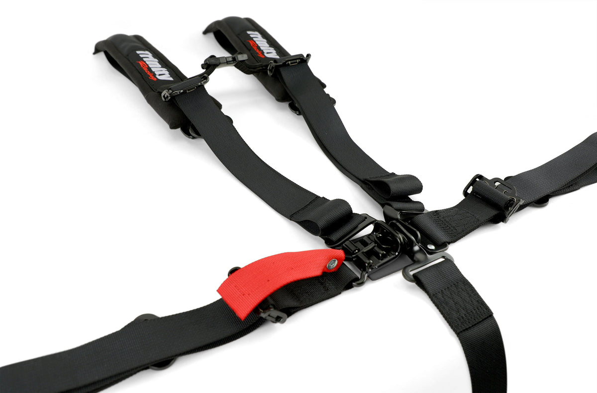 5 Point 2-Inch Harness